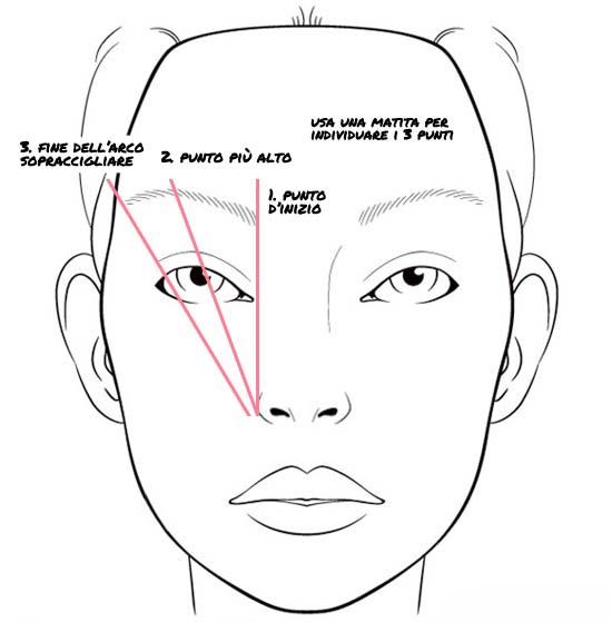 Un disegno che mostra la divisione del viso che si deve fare con la matita per creare delle sopracciglia perfette.